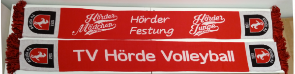 Fanschal TV Hörde